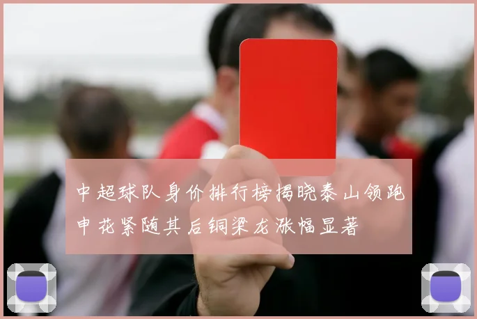 中超球队身价排行榜揭晓泰山领跑申花紧随其后铜梁龙涨幅显著