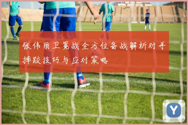张伟丽卫冕战全方位备战解析对手摔跤技巧与应对策略