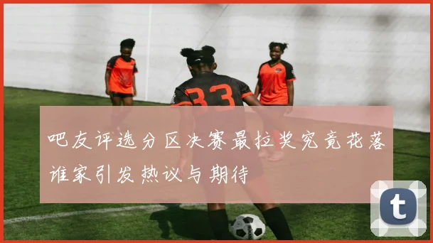 吧友评选分区决赛最拉奖究竟花落谁家引发热议与期待