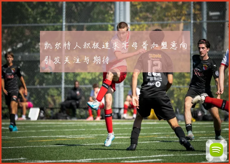 凯尔特人积极追求字母哥加盟意向引发关注与期待